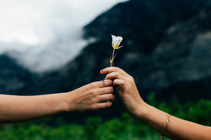 Bild zeigt zwei Hände die sich eine Blume übergeben